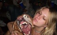 Funny And Crazy Dogs 25 Free Wallpaper