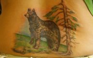 Funny Animal Tattoos 2 Widescreen Wallpaper
