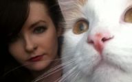 Funny Cat Selfies 16 Cool Hd Wallpaper