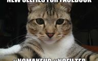 Funny Cat Selfies 27 High Resolution Wallpaper