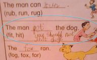 Funny Children's Answers To Exam Questions 5 Hd Wallpaper