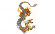 Funny Dragon Tattoos 38 Free Hd Wallpaper