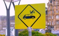 Funny Road Signs 34 Free Wallpaper