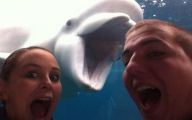 Funny Selfies With Animals 1 Cool Hd Wallpaper