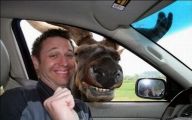 Funny Selfies With Animals 34 High Resolution Wallpaper