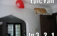 Epic Funny Cat Fails 3 Background Wallpaper