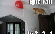 Funny Cat Jump Fails 17 High Resolution Wallpaper