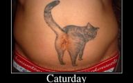 Funny Cat Tattoo 24 Background