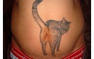 Funny Cat Tattoo 42 Free Hd Wallpaper