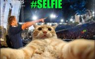 Funny Selfie Pictures 16 Cool Hd Wallpaper