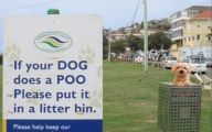 Funny Sign Pictures 9 Free Wallpaper