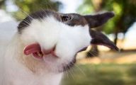 Most Funny Selfies 29 High Resolution Wallpaper