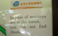 Engrish Funny Signs 16 Cool Hd Wallpaper