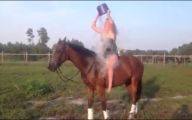 Epic Horse Fail Pictures 14 Free Wallpaper