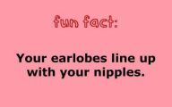 Funny And Weird Facts 9 High Resolution Wallpaper