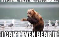 Funny Animals With Captions 14 Cool Wallpaper