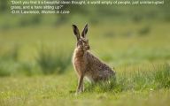 Funny Animals With Funny Sayings 8 Hd Wallpaper