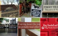 Funny Beware Of Dog Signs 12 Background Wallpaper