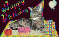 Funny Birthday Cat 2 Hd Wallpaper