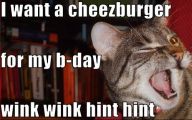 Funny Birthday Cat 24 Desktop Background