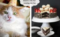 Funny Birthday Cat 33 Desktop Background