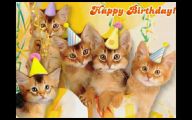 Funny Birthday Cat 7 Desktop Wallpaper