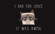 Funny Cartoon Cat 4 Free Hd Wallpaper