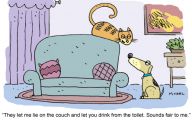 Funny Cartoon Cat Pictures 6 Wide Wallpaper
