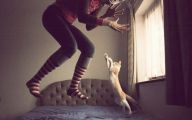 Funny Cat Jumping  21 Widescreen Wallpaper