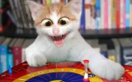 Funny Cat Playing 23 Background Wallpaper