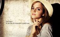 Funny Celebrity Facts 13 High Resolution Wallpaper