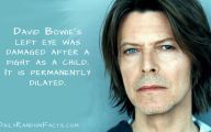 Funny Celebrity Facts 26 Widescreen Wallpaper