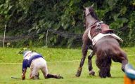 Funny Horse Riding Fails 18 Background