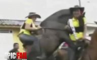 Funny Horse Riding Fails 20 Desktop Wallpaper