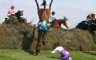 Funny Horse Riding Fails 8 Background