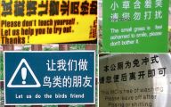 Funny Signs Around The World 31 High Resolution Wallpaper