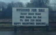 Funny Signs For Sale 46 Free Wallpaper