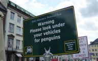Funny Traffic Signs 27 Free Wallpaper