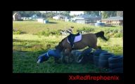 Horse Bloopers Funny 15 Wide Wallpaper