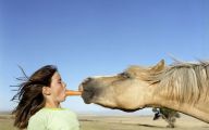 Horse Bloopers Funny 37 Hd Wallpaper