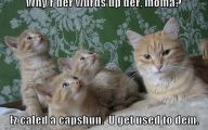Funny Pictures With Captions 11 Desktop Wallpaper