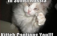 Funny Pictures With Captions 24 Desktop Background