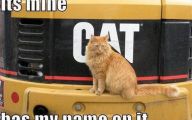 Funny Pictures With Captions 27 High Resolution Wallpaper