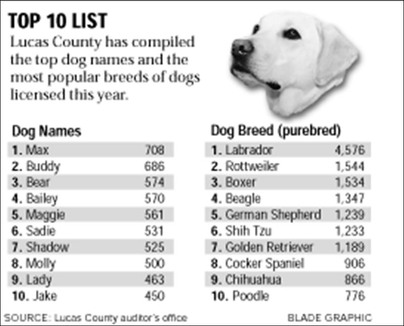 dog names for white dogs