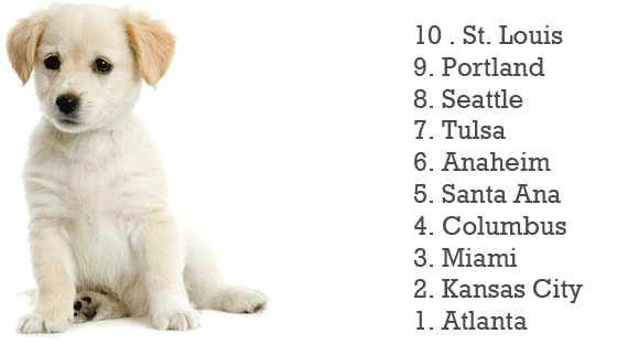 What are the top 10 boy dog names?