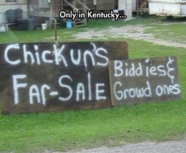 redneck-funny-signs-3-free-wallpaper.jpg