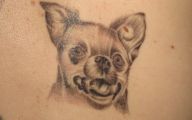 Funny Animal Tattoos 7 Cool Wallpaper