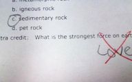 Funny Children's Answers To Exam Questions 26 Widescreen Wallpaper