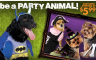 Funny Costumes At Party City 30 Desktop Wallpaper