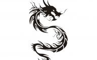 Funny Dragon Tattoos 14 Background